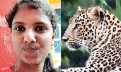 കോളജ് വിദ്യാര്‍ത്ഥിനിയെ പുലി കടിച്ചു കൊന്നു