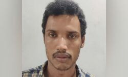 പകൽ സമയത്ത് അടച്ചിട്ട വീടുകളിൽ കയറി സ്വർണ്ണവും പണവും കവരുന്ന പ്രതിയെ പിടികൂടി