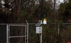 കള്ളിച്ചിത്ര കോളനിയിലെ കാട്ടാനശല്യം: സോളാർ ഫെൻസിങ് അനുമതി ഉടൻ