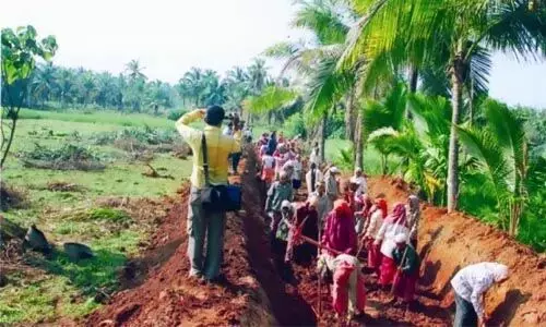 അയ്യങ്കാളി തൊഴിലുറപ്പ് പദ്ധതി: 40 നഗരസഭകളുടെ ആക്ഷന്‍ പ്ലാനിന് അംഗീകാരം