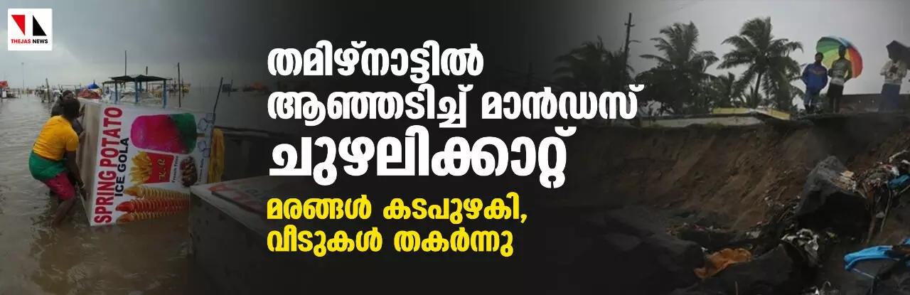 തമിഴ്നാട്ടില് ആഞ്ഞടിച്ച് മാന്ഡസ് ചുഴലിക്കാറ്റ്; മരങ്ങള് കടപുഴകി, വീടുകള് തകര്ന്നു തമിഴ്നാട്ടില് ആഞ്ഞടിച്ച് മാന്ഡസ് ചുഴലിക്കാറ്റ്; മരങ്ങള് കടപുഴകി, വീടുകള് തകര്ന്നു