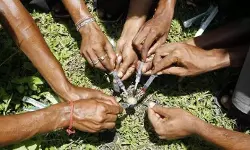 เดเตเดธเต เดชเดฟเตปเดตเดฒเดฟเดเตเดเดพเตป เดธเดฎเตเดฎเดฐเตโเดฆเตเดฆเด, เดเดณเตเดณเดเตเดเตเดธเดฟเตฝ เดเตเดเตเดเตเดเตเดฎเตเดจเตเดจเต เดญเตเดทเดฃเดฟ; เดเดเตเดเดพเดตเต เดฎเดพเดซเดฟเดฏเดเตเดเตเดคเดฟเดฐเต เดชเดคเดฟเดจเดเตเดเตเดเดพเดฐเดจเตเดฑเต เดชเดฟเดคเดพเดตเต เดเตเดธเต เดชเดฟเตปเดตเดฒเดฟเดเตเดเดพเตป เดธเดฎเตเดฎเดฐเตโเดฆเตเดฆเด, เดเดณเตเดณเดเตเดเตเดธเดฟเตฝ เดเตเดเตเดเตเดเตเดฎเตเดจเตเดจเต เดญเตเดทเดฃเดฟ; เดเดเตเดเดพเดตเต เดฎเดพเดซเดฟเดฏเดเตเดเตเดคเดฟเดฐเต เดชเดคเดฟเดจเดเตเดเตเดเดพเดฐเดจเตเดฑเต เดชเดฟเดคเดพเดตเต