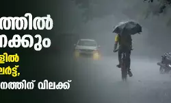 കേരളത്തില്‍ മഴ കനക്കും; ഏഴ് ജില്ലകളില്‍ യെല്ലോ അലര്‍ട്ട്, മല്‍സ്യബന്ധനത്തിന് വിലക്ക്
