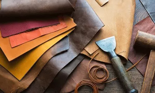 ഇന്ത്യന്‍ ലെതര്‍-ഫൂട്‌വെയര്‍ കയറ്റുമതിയില്‍ വര്‍ധന: വാനാ മേഖലയില്‍ 20%; യുഎഇയില്‍ 31.72%