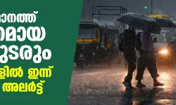 സംസ്ഥാനത്ത് ശക്തമായ മഴ തുടരും; 11 ജില്ലകളില്‍ ഇന്ന് യെല്ലോ അലര്‍ട്ട്