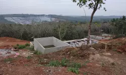 തെയ്യോട്ട് കാവിന്റെ മരണമണി മുഴങ്ങുന്നു; അതീവ പരിസ്ഥിതി ലോല പ്രദേശത്ത് റെഡ് കാറ്റഗറി വ്യവസായശാലയ്ക്ക് അനുമതി തെയ്യോട്ട് കാവിന്റെ മരണമണി മുഴങ്ങുന്നു; അതീവ പരിസ്ഥിതി ലോല പ്രദേശത്ത് റെഡ് കാറ്റഗറി വ്യവസായശാലയ്ക്ക് അനുമതി