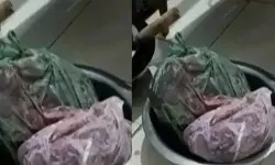 ഹോട്ടലില് നിന്ന് കേഴമാനിറിച്ചി പിടികൂടി ഹോട്ടലില് നിന്ന് കേഴമാനിറിച്ചി പിടികൂടി