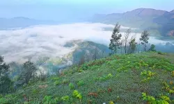 เดฌเดซโเตผเดธเตเตบ: เดซเตเตฝเดกเต เดธเตผเดตเตเดเตเดเต เดจเดพเดณเต เดคเตเดเดเตเดเด เดฌเดซโเตผเดธเตเตบ: เดซเตเตฝเดกเต เดธเตผเดตเตเดเตเดเต เดจเดพเดณเต เดคเตเดเดเตเดเด