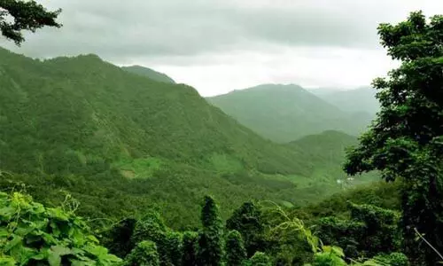 ഇക്കോ സെന്‍സിറ്റിവ് സോണ്‍: വിവരശേഖരണത്തിന് തദ്ദേശ സ്ഥാപനങ്ങള്‍ക്കുള്ള നിര്‍ദേശങ്ങള്‍ പുറപ്പെടുവിച്ചു