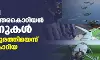 വ്യോമപരിധി ലംഘിച്ച് ഉത്തരകൊറിയന്‍ ഡ്രോണുകള്‍; വെടിവച്ച് തുരത്തിയെന്ന് ദക്ഷിണ കൊറിയ