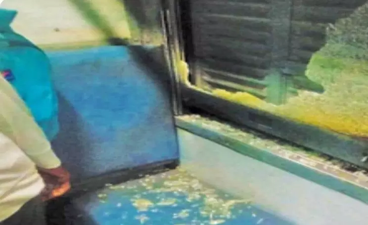 വേളാങ്കണ്ണി എക്സ്പ്രസിന് നേരേ കല്ലേറ്, ജനല്ച്ചില്ല് തകര്ന്നു; യുവതിക്ക് പരിക്ക് വേളാങ്കണ്ണി എക്സ്പ്രസിന് നേരേ കല്ലേറ്, ജനല്ച്ചില്ല് തകര്ന്നു; യുവതിക്ക് പരിക്ക്