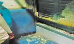 เดตเตเดณเดพเดเตเดเดฃเตเดฃเดฟ เดเดเตโเดธเตเดชเตเดฐเดธเดฟเดจเต เดจเตเดฐเต เดเดฒเตเดฒเตเดฑเต, เดเดจเดฒเตโเดเตเดเดฟเดฒเตเดฒเต เดคเดเดฐเตโเดจเตเดจเต; เดฏเตเดตเดคเดฟเดเตเดเต เดชเดฐเดฟเดเตเดเต เดตเตเดณเดพเดเตเดเดฃเตเดฃเดฟ เดเดเตโเดธเตเดชเตเดฐเดธเดฟเดจเต เดจเตเดฐเต เดเดฒเตเดฒเตเดฑเต, เดเดจเดฒเตโเดเตเดเดฟเดฒเตเดฒเต เดคเดเดฐเตโเดจเตเดจเต; เดฏเตเดตเดคเดฟเดเตเดเต เดชเดฐเดฟเดเตเดเต