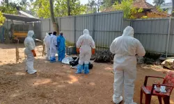 പക്ഷിപ്പനി: ആരോഗ്യവകുപ്പ് ജില്ലകള്‍ക്ക് ജാഗ്രതാ നിര്‍ദേശം നല്‍കി