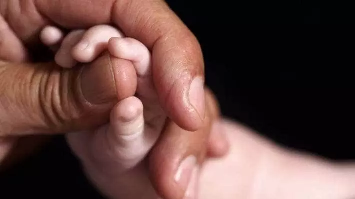 ആശുപത്രിയിലെത്താന് കാട്ടാന തടസമായി; നവജാത ശിശു മരിച്ചു ആശുപത്രിയിലെത്താന് കാട്ടാന തടസമായി; നവജാത ശിശു മരിച്ചു