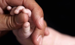 ആശുപത്രിയിലെത്താന് കാട്ടാന തടസമായി; നവജാത ശിശു മരിച്ചു ആശുപത്രിയിലെത്താന് കാട്ടാന തടസമായി; നവജാത ശിശു മരിച്ചു