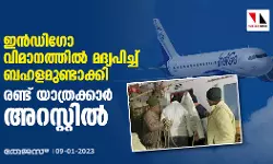 ഇന്‍ഡിഗോ വിമാനത്തില്‍ മദ്യപിച്ച് ബഹളമുണ്ടാക്കി; രണ്ട് യാത്രക്കാര്‍ അറസ്റ്റില്‍