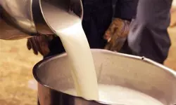 കൊല്ലത്ത് മായം കലര്ന്ന 15,000 ലിറ്റര് പാല് പിടികൂടി കൊല്ലത്ത് മായം കലര്ന്ന 15,000 ലിറ്റര് പാല് പിടികൂടി