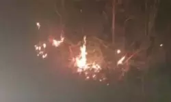 കണ്ണൂര്‍ കാങ്കോലിലെ മല്‍സ്യസംസ്‌കരണ യൂനിറ്റിനെതിരായ പ്രതിഷേധം; ജനകീയ സമരപ്പന്തലിന് തീയിട്ടു