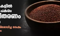 റേഷൻ കടകളിൽ ഗോതമ്പിന് പകരം റാഗി വിതരണം ചെയ്യും: പ്രതികരണം പരിശോധിച്ച ശേഷം തുടര്‍ തീരുമാനം