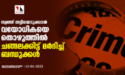 സ്വത്ത് തട്ടിയെടുക്കാന്‍ വയോധികയെ തൊഴുത്തില്‍ ചങ്ങലക്കിട്ട് മർദിച്ച് ബന്ധുക്കള്‍