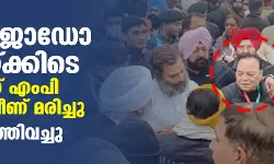 ഭാരത് ജോഡോ യാത്രയ്ക്കിടെ കോണ്‍ഗ്രസ് എംപി കുഴഞ്ഞുവീണ് മരിച്ചു; യാത്ര നിര്‍ത്തിവച്ചു