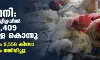 പക്ഷിപ്പനി: കോഴിക്കോട് ജില്ലയിൽ ഇന്നലെ 8,409 പക്ഷികളെ കൊന്നു; 30,395 മുട്ടയും 9,558 കിലോ കോഴി തീറ്റയും നശിപ്പിച്ചു