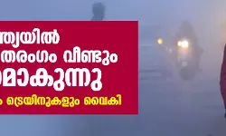 ഉത്തരേന്ത്യയിൽ ശൈത്യ തരംഗം വീണ്ടും ശക്തമാകുന്നു; വിമാനങ്ങളും ട്രെയിനുകളും വൈകി