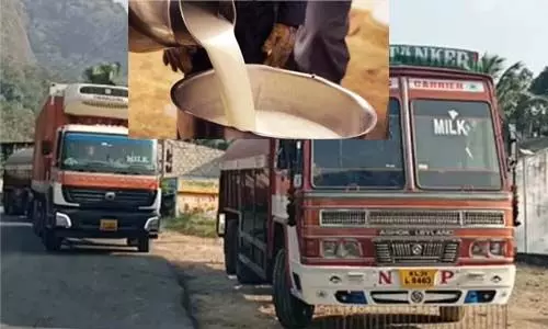 ആര്യങ്കാവില് പിടികൂടിയ പാലില് മായമില്ലെന്ന് കണ്ടെത്തല്; വെട്ടിലായി ക്ഷീരവികസനവകുപ്പ് ആര്യങ്കാവില് പിടികൂടിയ പാലില് മായമില്ലെന്ന് കണ്ടെത്തല്; വെട്ടിലായി ക്ഷീരവികസനവകുപ്പ്