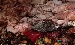 കളമശ്ശേരിയില്‍ അഴുകിയ ഇറച്ചി പിടിച്ചെടുത്ത സംഭവം; പോലിസ് കേസെടുത്തു