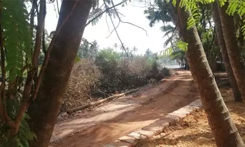 കണ്ടല്കാടുകള് നികത്തി സമാന്തര റോഡ് നിര്മാണം; പ്രതിഷേധവുമായി നാട്ടുകാര് കണ്ടല്കാടുകള് നികത്തി സമാന്തര റോഡ് നിര്മാണം; പ്രതിഷേധവുമായി നാട്ടുകാര്