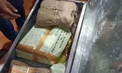 ബാലറ്റ് പെട്ടി കാണാതായ സംഭവം: രണ്ട് ഉദ്യോഗസ്ഥര്‍ക്ക് സസ്‌പെന്‍ഷന്‍