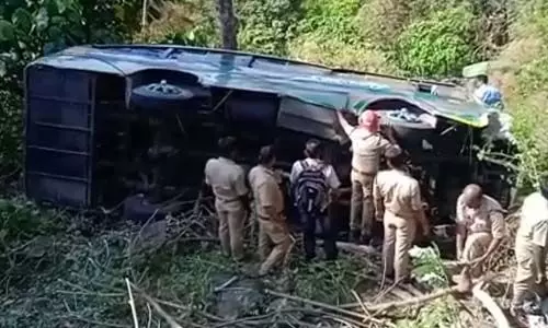 ഇടുക്കിയില്‍ മിനി ബസ് നിയന്ത്രണം വിട്ട് മറിഞ്ഞു; ഡ്രൈവര്‍ അടക്കം 21 പേര്‍ക്ക് പരിക്ക്