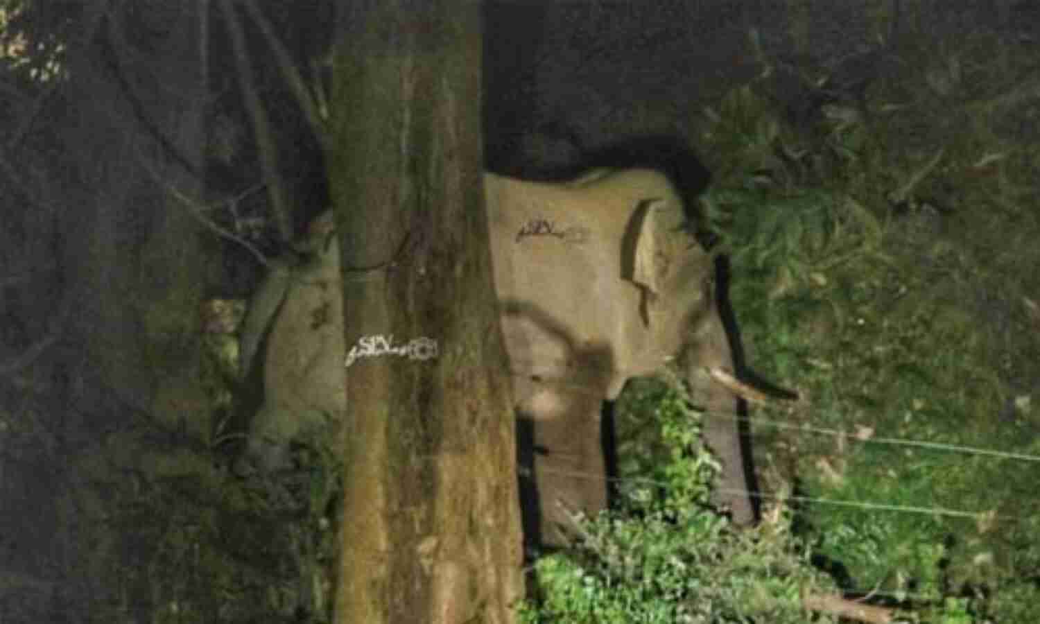 പാലക്കാട് പിടി സെവന് ദൗത്യം ആരംഭിച്ചു പാലക്കാട് പിടി സെവന് ദൗത്യം ആരംഭിച്ചു
