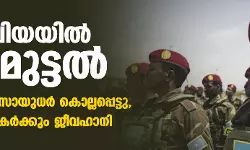 സൊമാലിയയില്‍ ഏറ്റുമുട്ടല്‍; നൂറിലധികം സായുധര്‍ കൊല്ലപ്പെട്ടു, ഏഴ് സൈനികര്‍ക്കും ജീവഹാനി