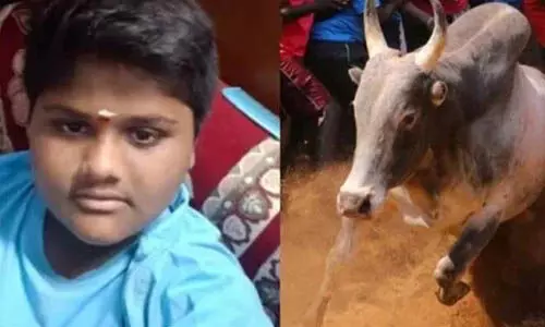 തമിഴ്നാട്ടില് ജെല്ലിക്കെട്ടിനിടെ കാളയുടെ കുത്തേറ്റ് 14 വയസ്സുകാരന് മരിച്ചു തമിഴ്നാട്ടില് ജെല്ലിക്കെട്ടിനിടെ കാളയുടെ കുത്തേറ്റ് 14 വയസ്സുകാരന് മരിച്ചു