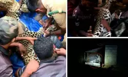 മണ്ണാർക്കാട് കോഴിക്കൂട്ടിൽ കുടുങ്ങിയ പുലി ചത്തു