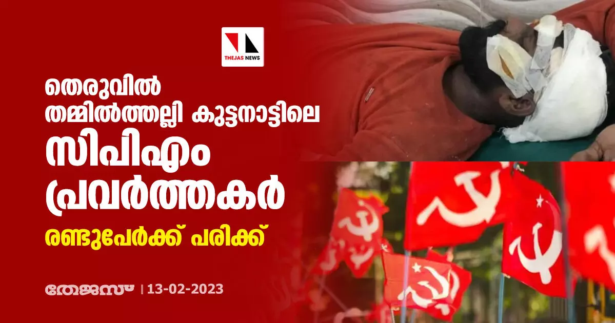 തെരുവില്‍ തമ്മില്‍ത്തല്ലി കുട്ടനാട്ടിലെ സിപിഎം പ്രവര്‍ത്തകര്‍; രണ്ടുപേര്‍ക്ക് പരിക്ക്