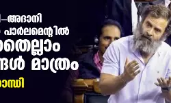 നരേന്ദ്രമോദി- അദാനി ബന്ധത്തില്‍ പാര്‍ലമെന്റില്‍ പറഞ്ഞതെല്ലാം സത്യങ്ങള്‍ മാത്രം: രാഹുല്‍ ഗാന്ധി