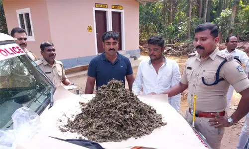 പരപ്പനങ്ങാടിയില് വന് കഞ്ചാവ് വേട്ട; ബംഗാള് സ്വദേശി പിടിയില് പരപ്പനങ്ങാടിയില് വന് കഞ്ചാവ് വേട്ട; ബംഗാള് സ്വദേശി പിടിയില്