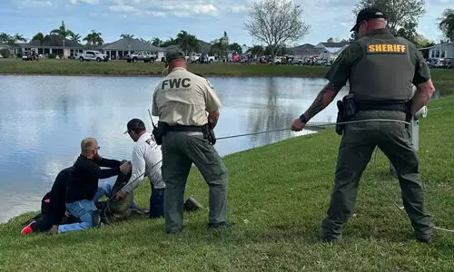 ചീങ്കണ്ണിയുടെ ആക്രമണം; ഫ് ളോറിഡയില് 85കാരി കൊല്ലപ്പെട്ടു ചീങ്കണ്ണിയുടെ ആക്രമണം; ഫ് ളോറിഡയില് 85കാരി കൊല്ലപ്പെട്ടു