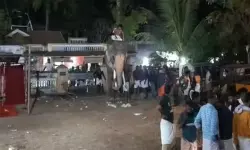 പാലക്കാട് ഉല്‍സവത്തിനിടെ ആനയിടഞ്ഞു; ഒന്നാം പാപ്പാന് ഗുരുതര പരിക്ക്