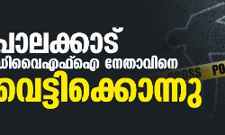 പാലക്കാട് ഡിവൈഎഫ്‌ഐ നേതാവിനെ വെട്ടിക്കൊന്നു