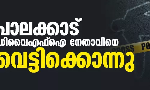 പാലക്കാട് ഡിവൈഎഫ്ഐ നേതാവിനെ വെട്ടിക്കൊന്നു പാലക്കാട് ഡിവൈഎഫ്ഐ നേതാവിനെ വെട്ടിക്കൊന്നു