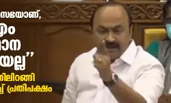 ഇത് നിയമസഭയാണ്, സിപിഎം സംസ്ഥാന കമ്മിറ്റിയല്ല; നടുത്തളത്തിലിറങ്ങി പ്രതിഷേധിച്ച് പ്രതിപക്ഷം