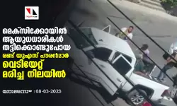 മെക്‌സിക്കോയില്‍ ആയുധധാരികള്‍ തട്ടിക്കൊണ്ടുപോയ രണ്ട് യുഎസ് പൗരന്‍മാര്‍ വെടിയേറ്റ് മരിച്ച നിലയില്‍