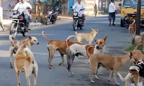 പേവിഷവാക്സിൻ എടുത്തിട്ടും രണ്ടുമാസത്തിനിടെ മരിച്ചത് മൂന്നുകുട്ടികൾ