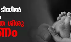 അട്ടപ്പാടിയില്‍ വീണ്ടും നവജാത ശിശു മരണം