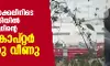 പരിശീലന പറക്കലിനിടെ നെടുമ്പാശ്ശേരിയില്‍ കോസ്റ്റ് ഗാര്‍ഡിന്റെ ഹെലികോപ്റ്റര്‍ തകര്‍ന്നു വീണു