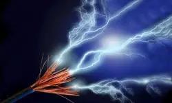 അട്ടപ്പാടിയില്‍ രണ്ടുപേര്‍ ഷോക്കേറ്റ് മരിച്ചു