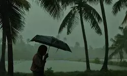സംസ്ഥാനത്ത് ശനിയാഴ്ച വരെ മഴയ്ക്കും ശക്തമായ കാറ്റിനും സാധ്യത